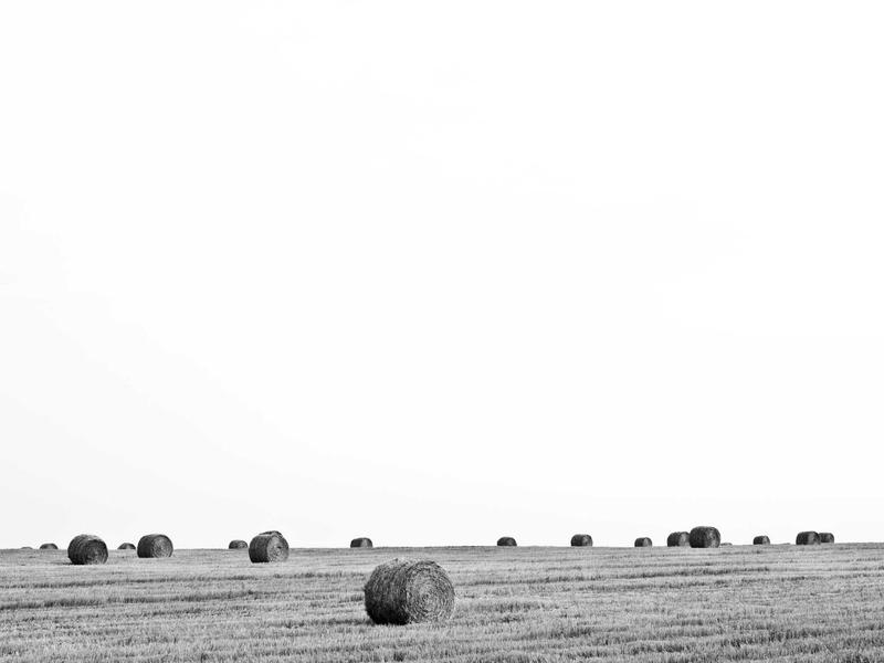 欧罗巴仓<br>欧盟区免税购物与砍单号